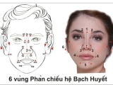 Giản thuật Gạch mặt theo  6 vùng phản chiếu hệ bạch huyết