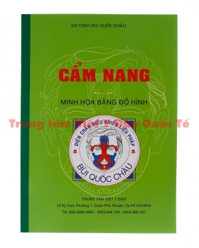 Cẩm nang minh họa bằng đồ hình