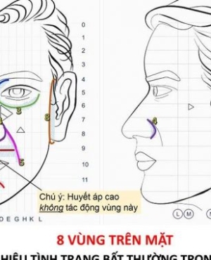LIỆU PHÁP TÁC ĐỘNG VÀO TÁM VÙNG TRÊN MẶT (TÁM VÙNG SINH MỆNH)